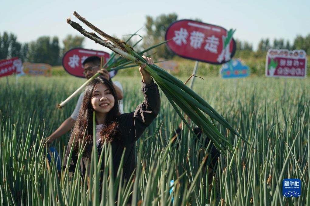 线上游戏开户